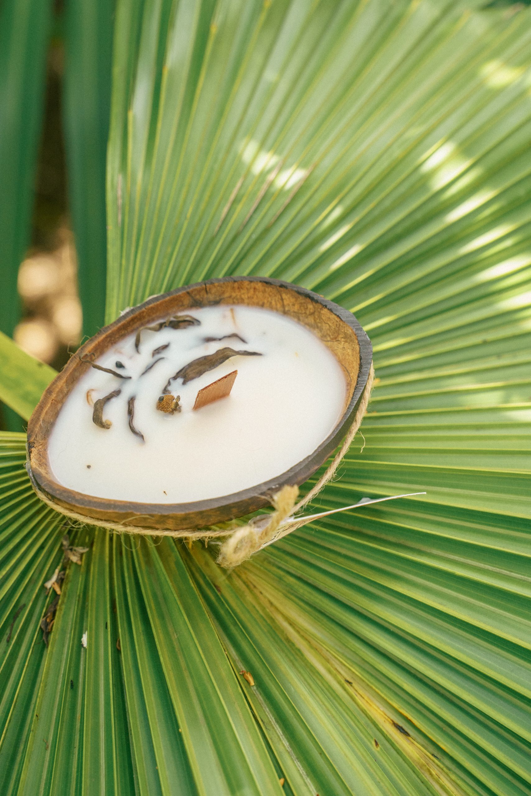<span style="font-weight:600">Ylang Ylang</span> – Pour relâcher les tensions et t’abandonner à la douceur – Image 3