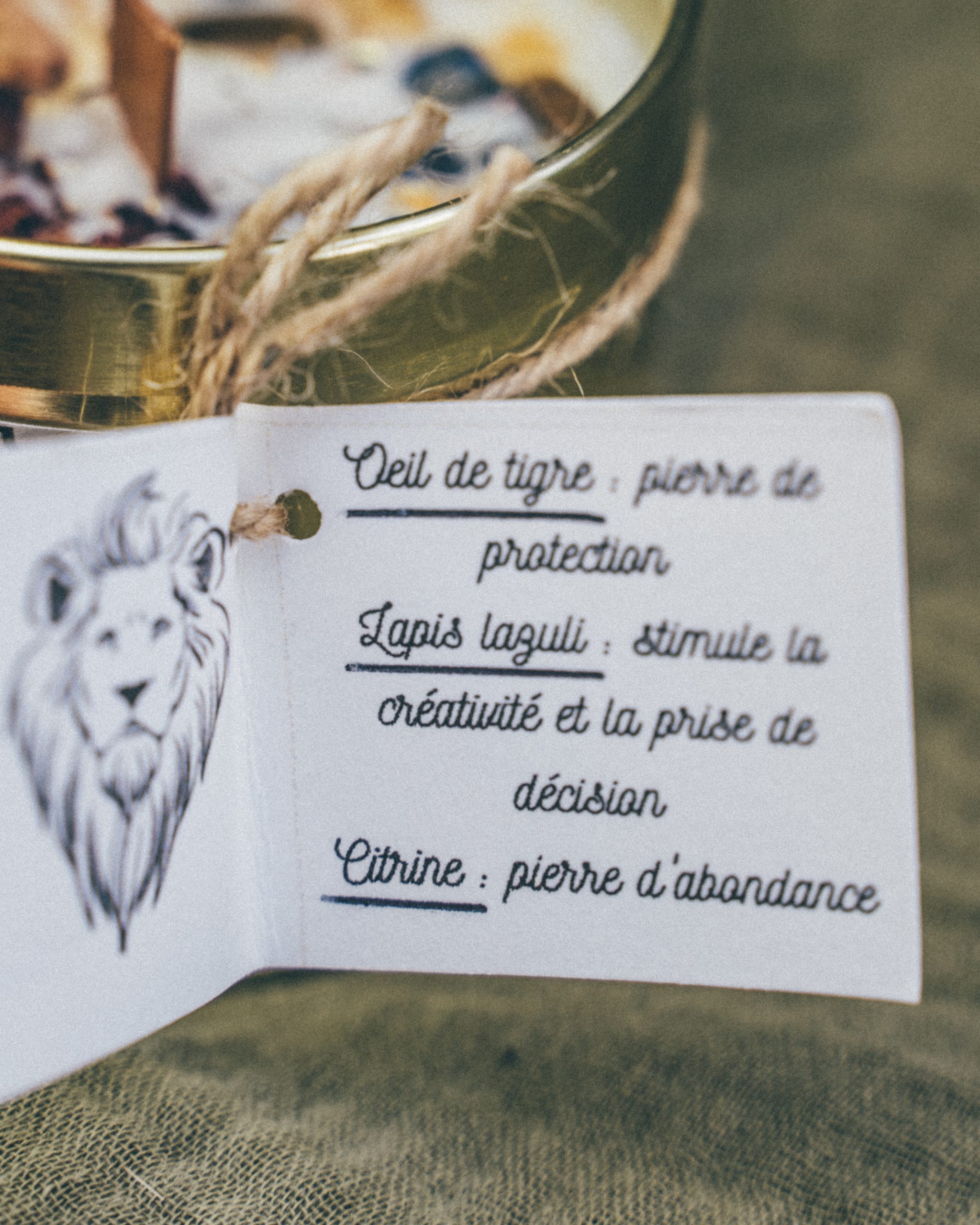 <span style="font-weight:600">Lion</span> – Pour rayonner pleinement et affirmer qui tu es – Image 3