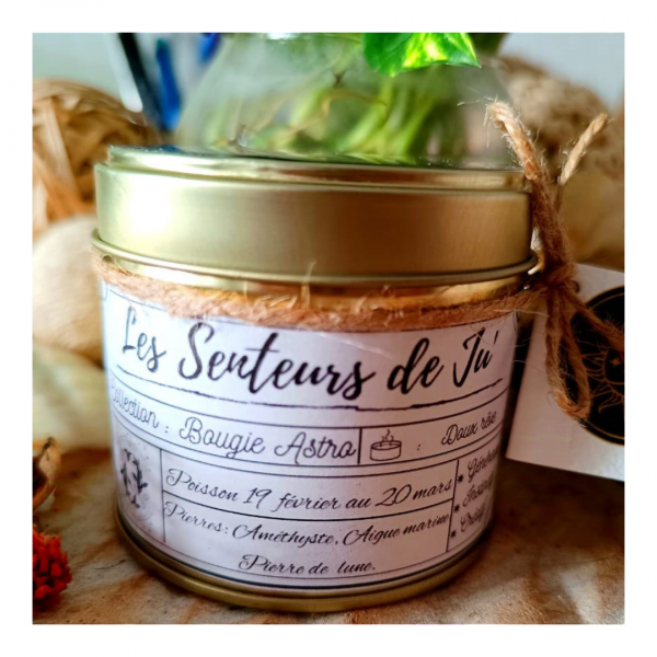 Bougie Astro Poisson – Image 2